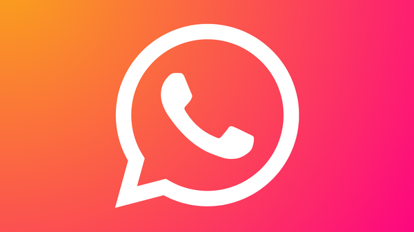 YL Whatsapp